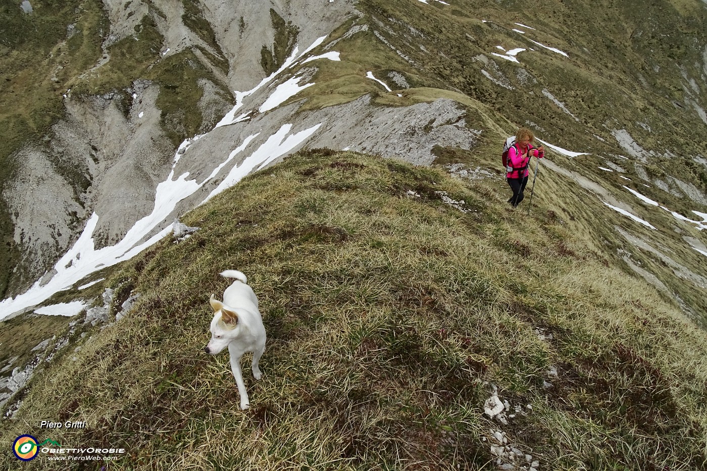 65 Ripida ma facile salita della cresta erbosa nord di Cima degli Agnelli.JPG